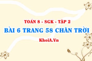 Bài 6 trang 58 Toán 8 Chân trời sáng tạo Tập 2